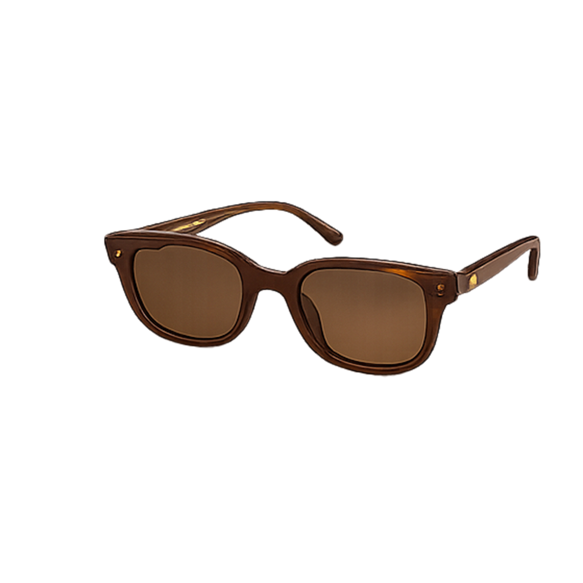 lunettes de soleil